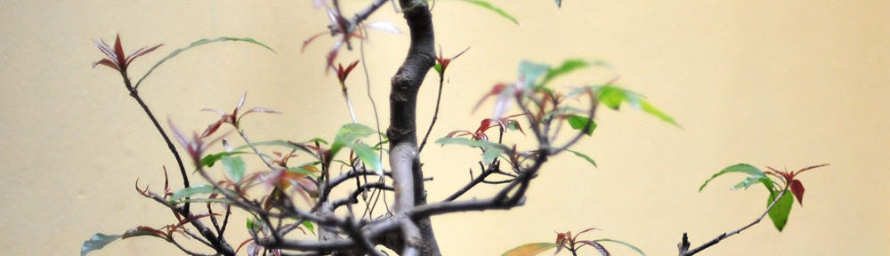 ユーシックプロジェクト